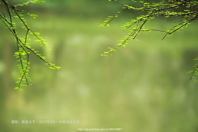 u=2865832502,3946209322&fm=253&fmt=auto&app=138&f=JPEG.webp u=2865832502,3946209322&fm=253&fmt=auto&app=138&f=JPEG.webp.jpg