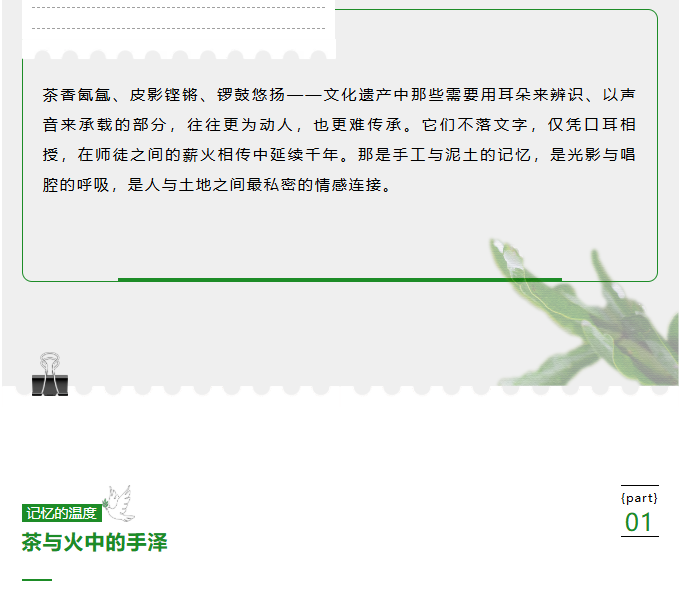 image.png?v=1782173611775