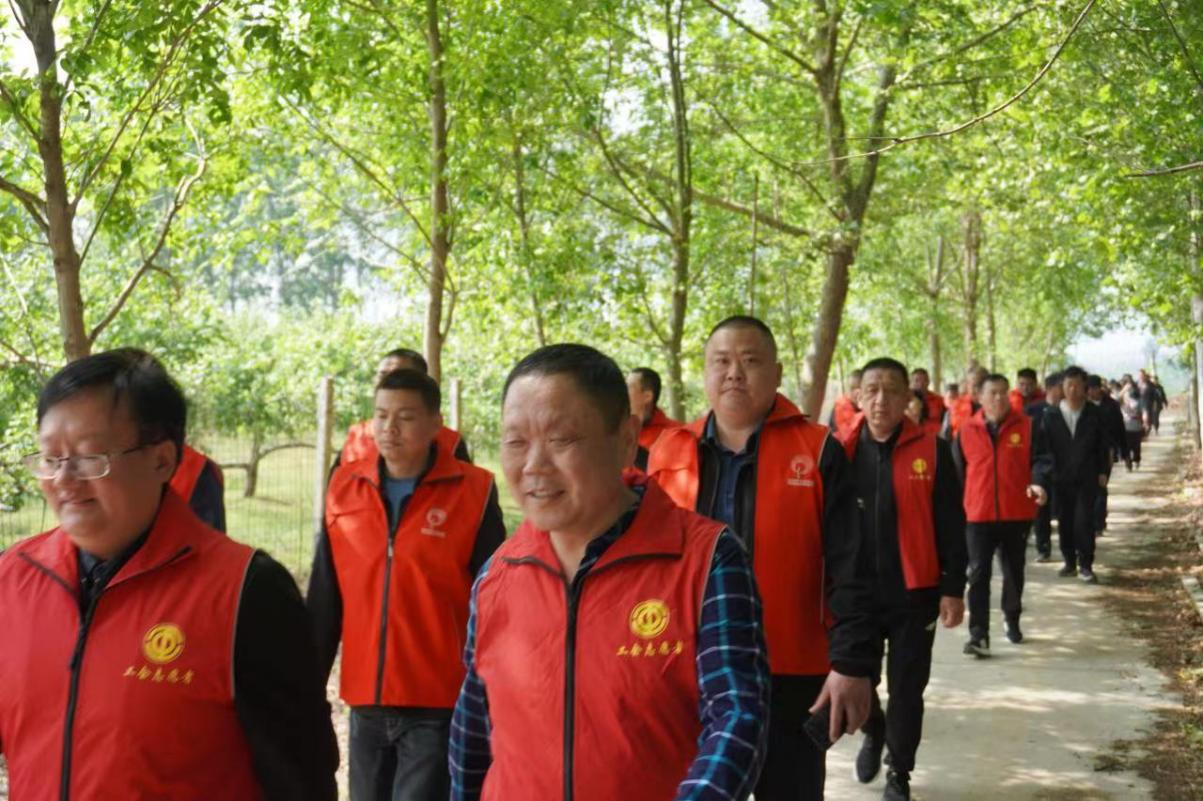 图片2