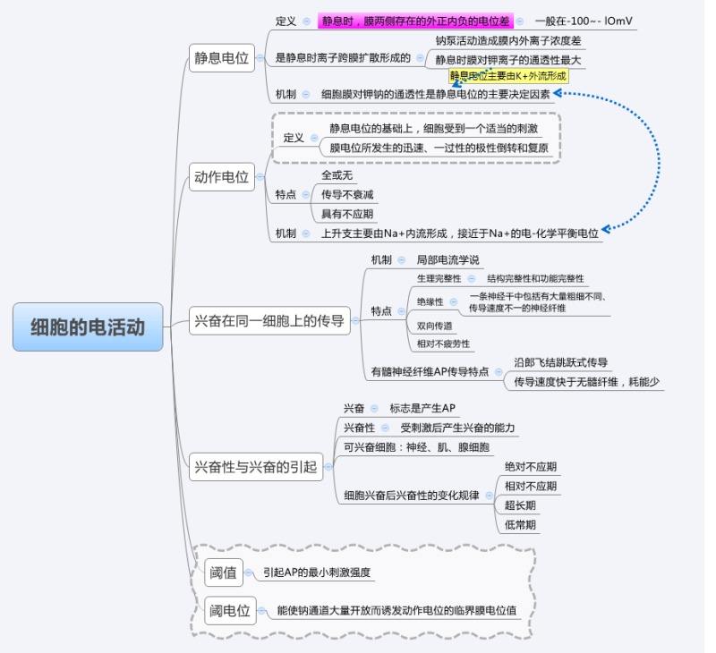 细胞生物电.jpg