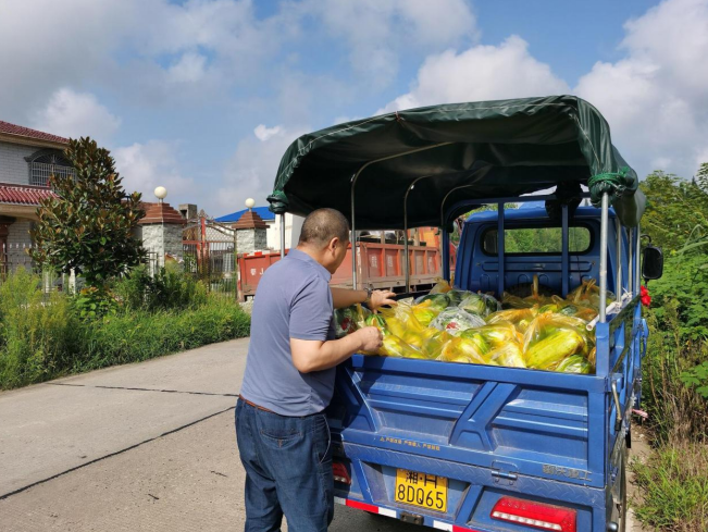 1 1.png?v=1765960215404