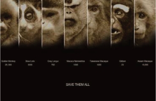 pagenumber_ebook=189,pagenumber_book=181