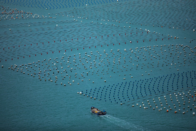 DM_20230203115637_020