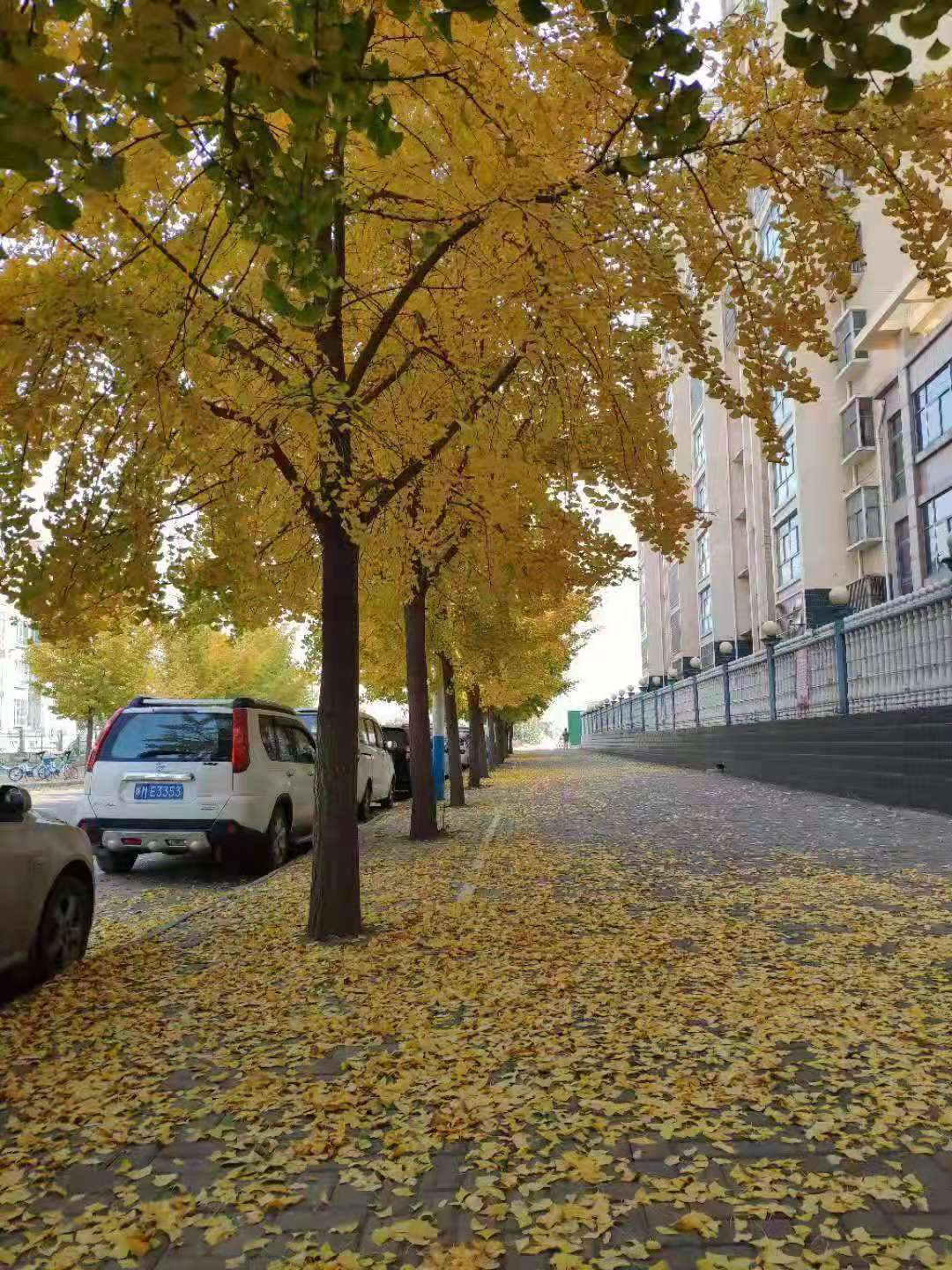 b20c5aeb7c310ad4258435b1950a576