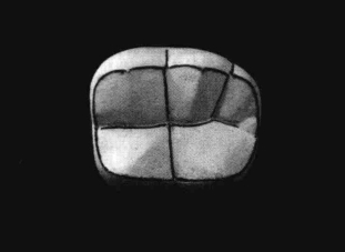 pagenumber_ebook=216,pagenumber_book=207