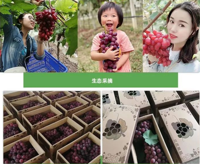 微信图片_20221001161904 微信图片_20221001161904.png