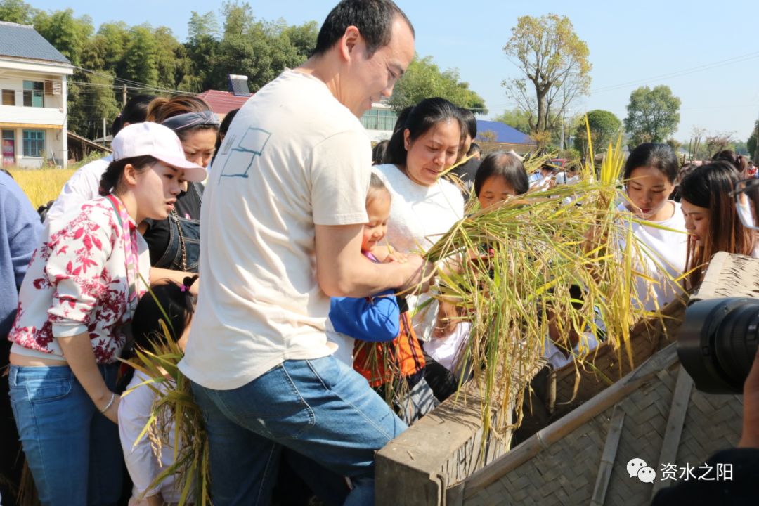 8 8.jpg?v=1765897789521