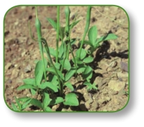 pagenumber_ebook=198,pagenumber_book=185