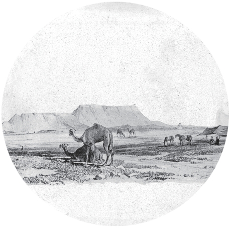 pagenumber_ebook=28,pagenumber_book=14