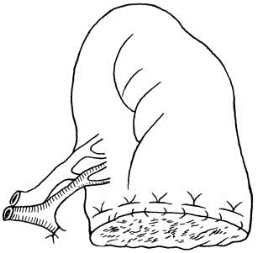 pagenumber_ebook=512,pagenumber_book=497