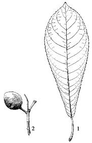 pagenumber_ebook=89,pagenumber_book=89