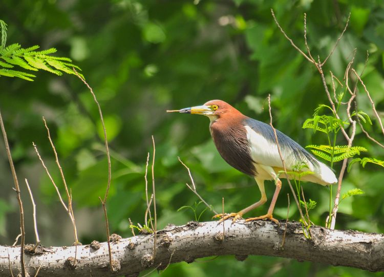 微信图片_20210506095020