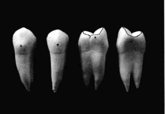 pagenumber_ebook=206,pagenumber_book=197