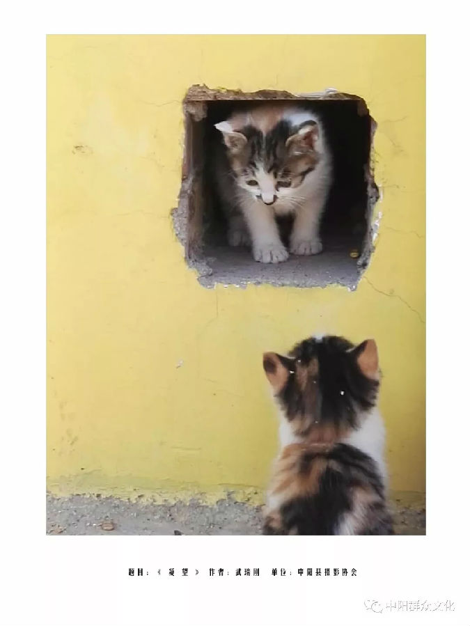 640.webp (41).jpg?v=1764880118725