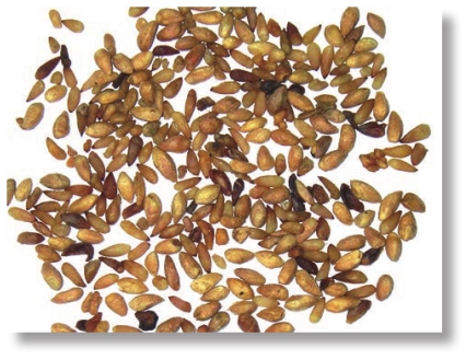 pagenumber_ebook=231,pagenumber_book=218