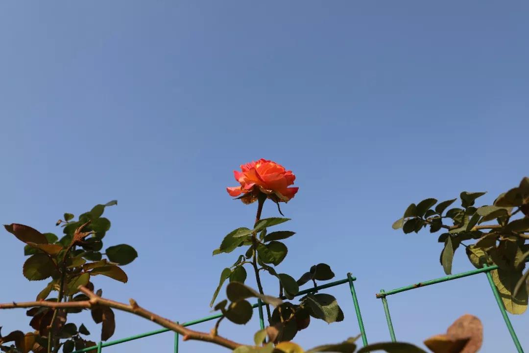 微信图片_20200713201450 微信图片_20200713201450.jpg