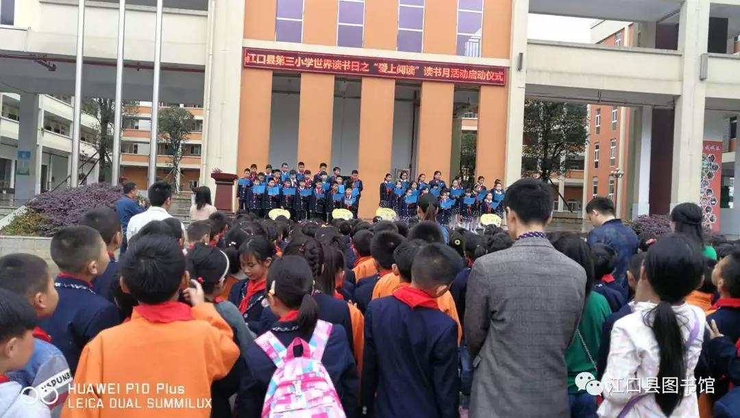 12 12.jpg?v=1762383165045