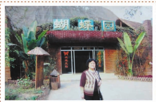 pagenumber_ebook=210,pagenumber_book=194