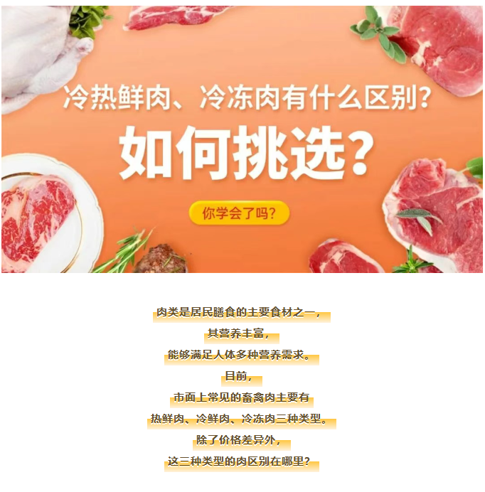 image.png?v=1777133572586