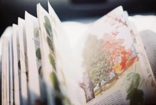 微信图片_20210712151253 微信图片_20210712151253.jpg