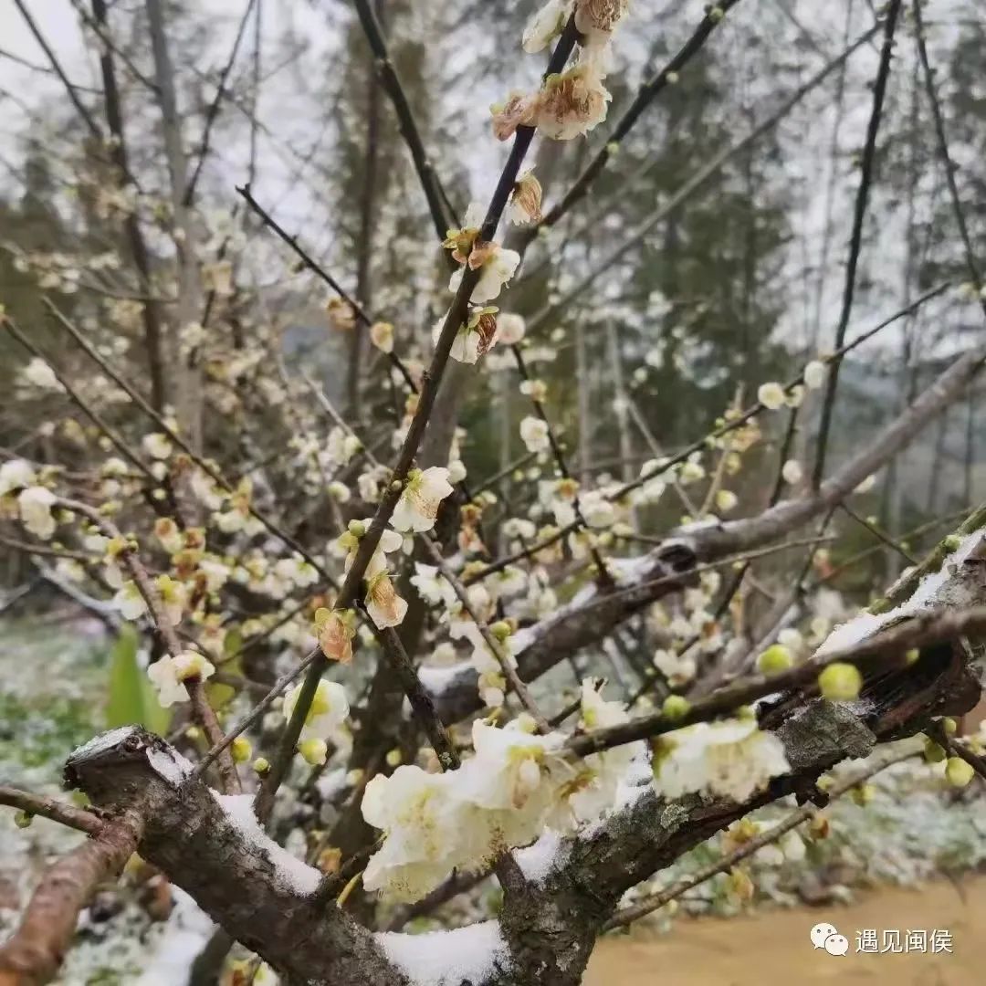 微信图片_20220225091832 微信图片_20220225091832.jpg