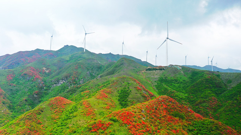 LOCAL202104271506000311125856989