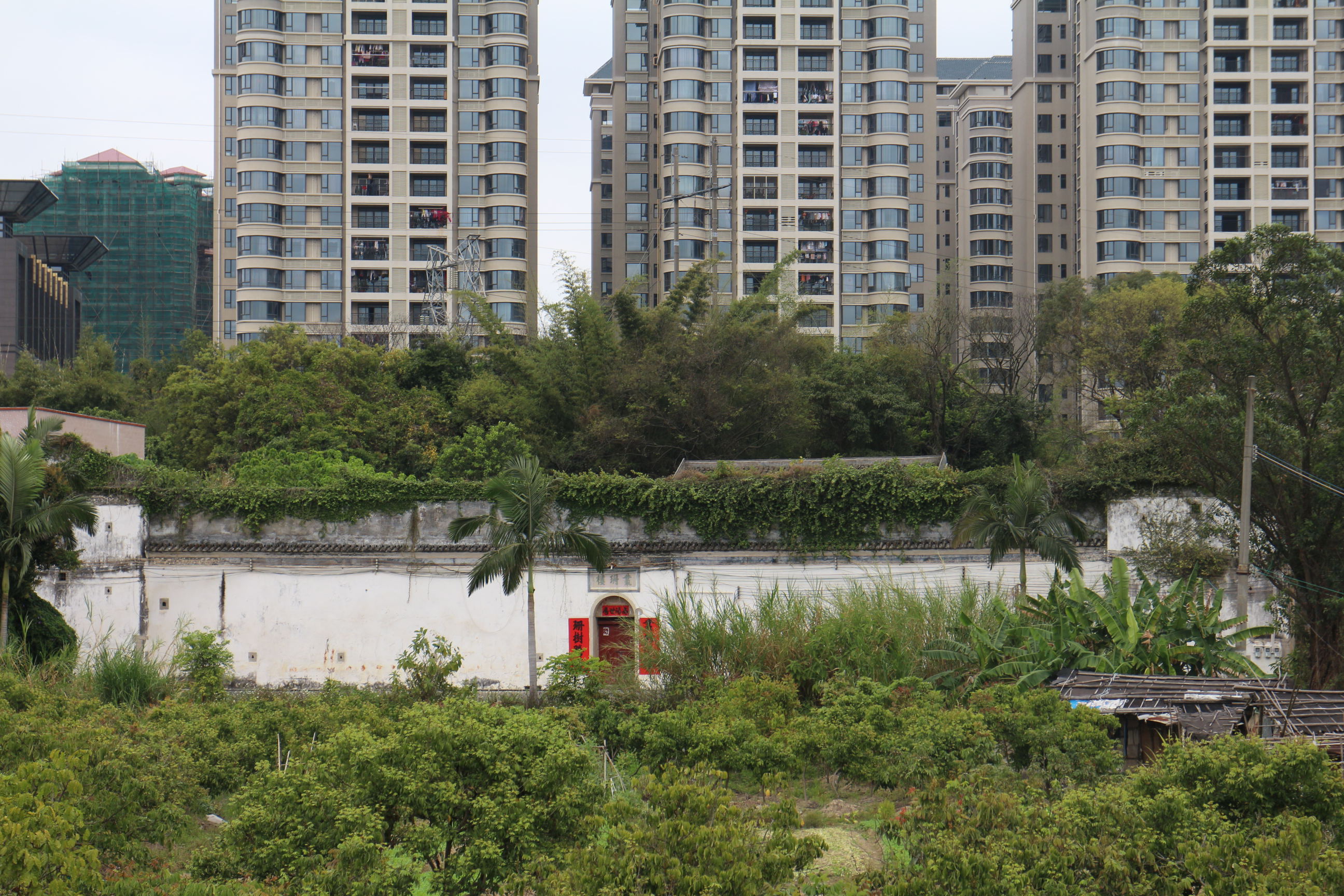 丛珊楼1 丛珊楼1.jpg