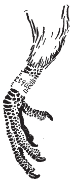 pagenumber_ebook=71,pagenumber_book=63