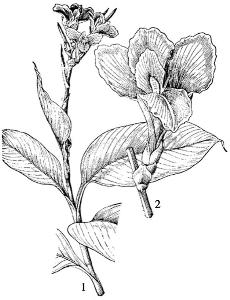 pagenumber_ebook=216,pagenumber_book=216