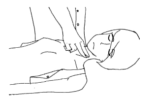 pagenumber_ebook=14,pagenumber_book=8