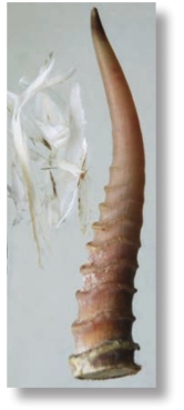 pagenumber_ebook=238,pagenumber_book=225