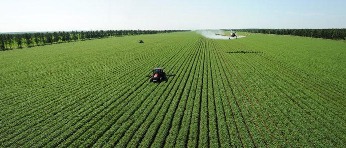 北大荒的今天 北大荒的今天.jpg