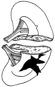 pagenumber_ebook=512,pagenumber_book=497