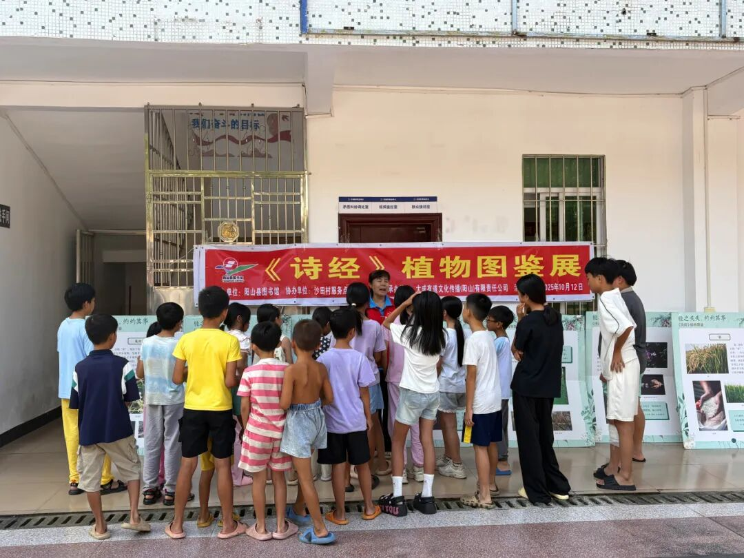 图片8 图片8.png?v=1764946420252