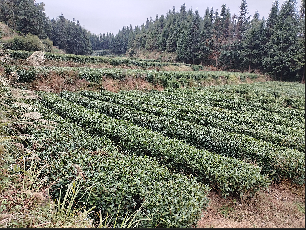 6a15d7c012e40aa9b167dbab06f162a