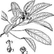 pagenumber_ebook=143,pagenumber_book=143