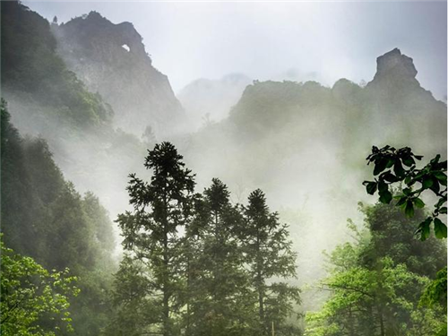 微信图片_20201129213742 微信图片_20201129213742.png