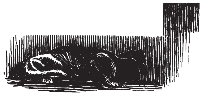 pagenumber_ebook=56,pagenumber_book=48