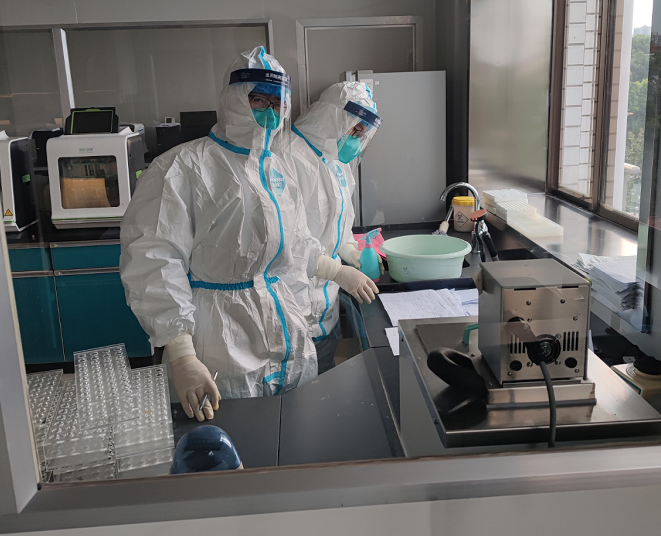 11 11.png?v=1765771841255