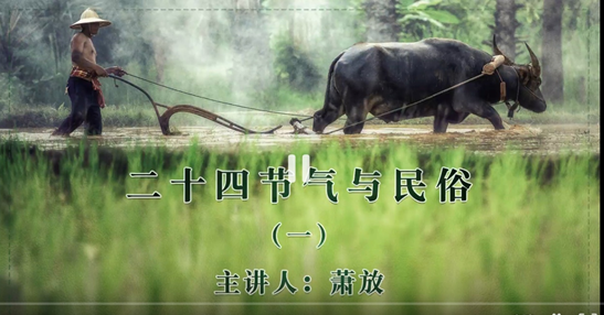 image image.png?v=1764639561892