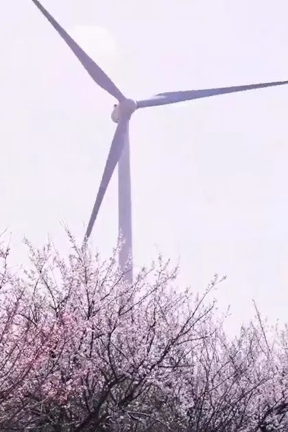 微信图片_20230428101500 微信图片_20230428101500.jpg