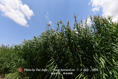 段王村罗汉寺 段王村罗汉寺.gif