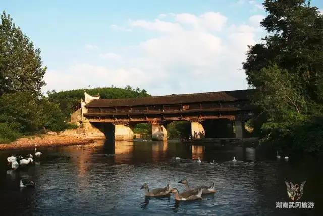 微信图片_20210902110035 微信图片_20210902110035.jpg