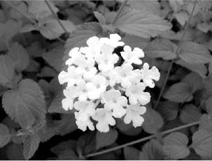 pagenumber_ebook=254,pagenumber_book=254