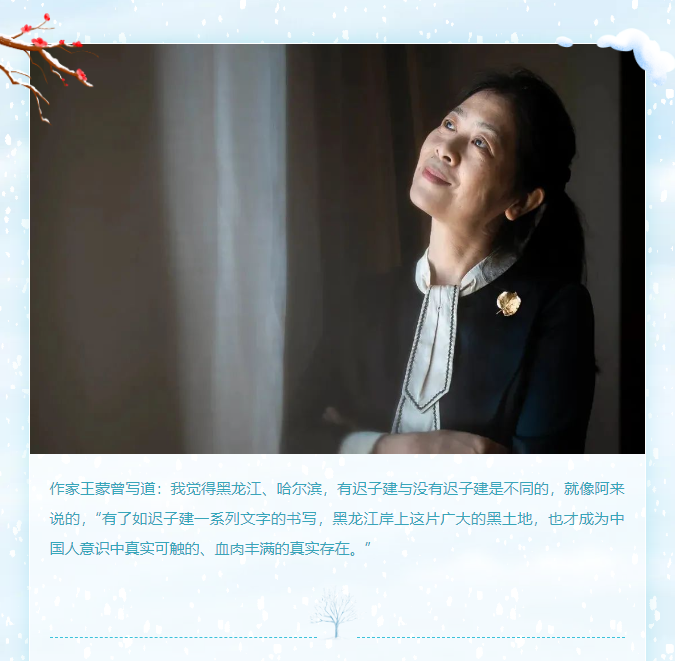 image.png?v=1750229949371