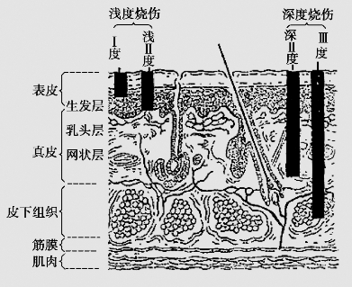 pagenumber_ebook=131,pagenumber_book=118