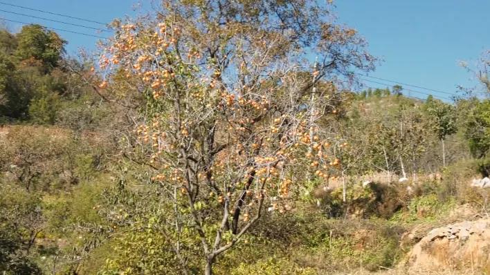 微信图片_20211026103515