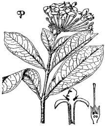 pagenumber_ebook=158,pagenumber_book=158