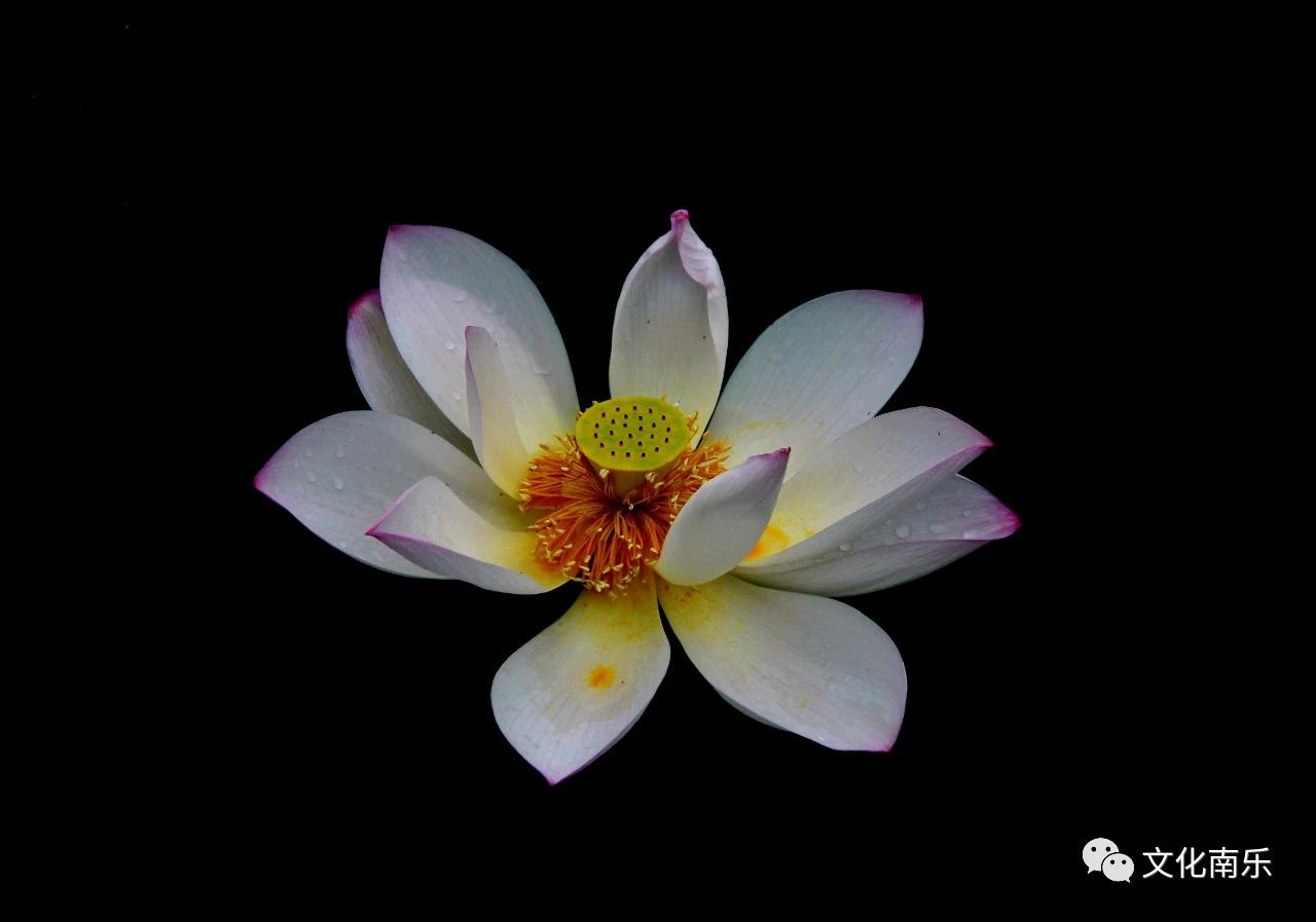 a8e2d10bafd2899c2b72ff9e9b49d22e a8e2d10bafd2899c2b72ff9e9b49d22e.jpg