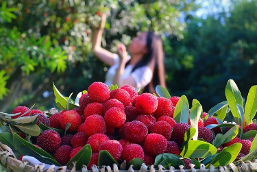 微信图片_20200614094848 微信图片_20200614094848.png